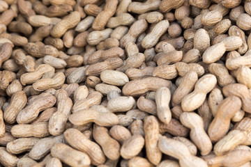 Pile of toasted peanuts