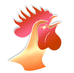 Coq de combat en colère rouge