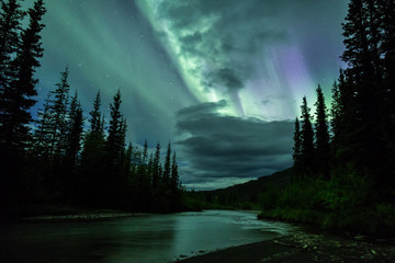 Northern Lights reflecting off of a river in the wilderness in Northern British Columbia, Canada. There are trees on either side of the river with green and purple aurora borealis in the night sky.
