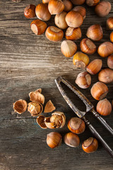 Autumn meal. Hazelnuts are nuts. Dark background.