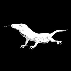 Graphics funny lizard