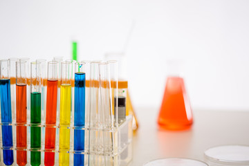 Colorful test tubes in holder