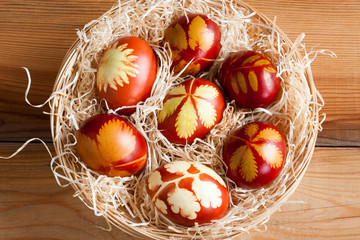 Easter eggs dyed with onion peels, with a pattern of fresh herbs