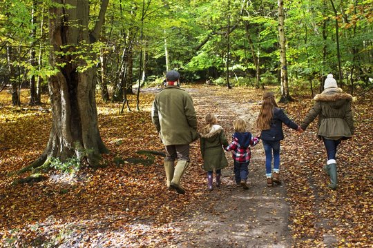 Family walking in woods in Autumn