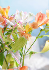 Fototapeta premium Beautiful flowers. A lily, a bouquet from lilies on a light background.