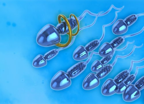 Nano sperm, illustration