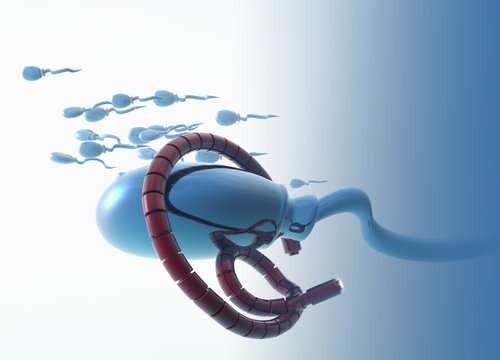 Nano sperm, illustration