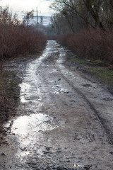 Dirty country road with puddle at autumn