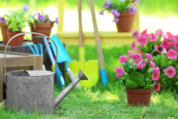 Watering can and pot plants on green grass in backyard © Africa Studio