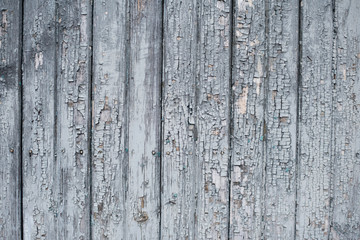 Old grey wood texture background. Vertical wood planks