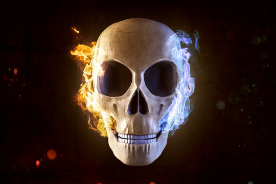 Skull