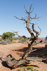 Fototapeta na wymiar Red Rock Landscape Scenic Beauty near Moab Utah.