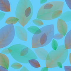 colored leaves on a blue background