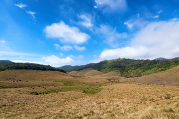 Fototapeta premium Scenic view in Horton Plains, Sri Lanka