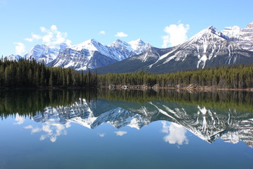 Herbert Lake Canadian Rockies