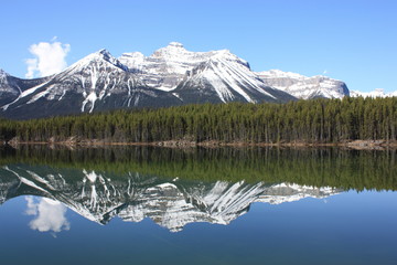 Canadian Rockies Lake Herbert