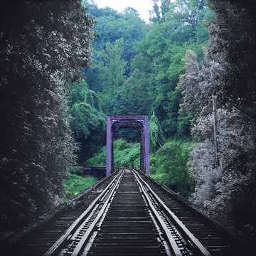 Artistic Nature Photography of a Vintage Train Tracks Bridge Fading in Color into the Forest