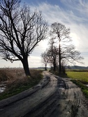 Fototapeta na wymiar Szosa