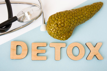 Pancreas detox concept photo. Word detox of volumetric letters is near 3D pancreas model and...