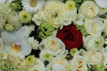 Red rose in white bridal bouquet