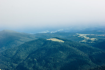 Beautiful forest landscape in the Carpathians, Ukraine