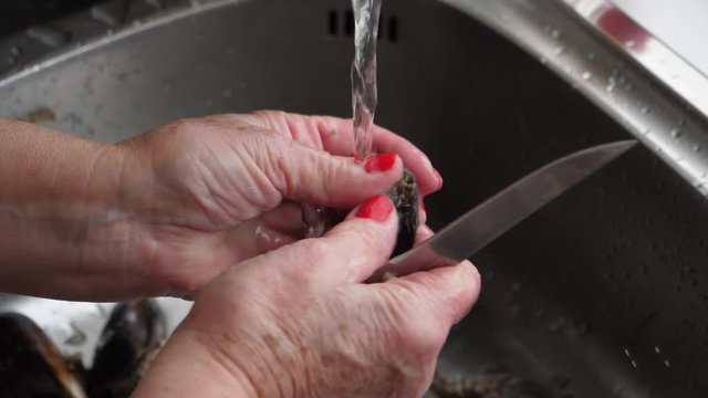 Limpieza de mejillones