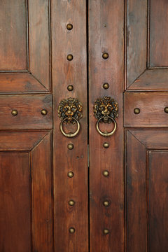 Wooden door with handles in the form of a lion's head