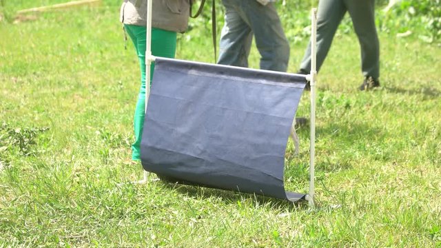 The little dog's easily jumping over a bar jump. The dog is getting reward for a trick.