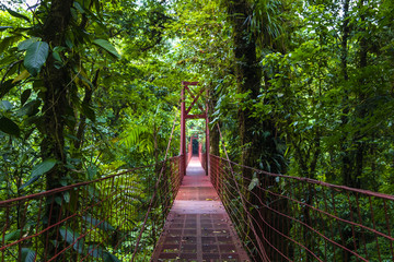 Mittelamerika - Costa Rica - Monteverde - Hängebrücke