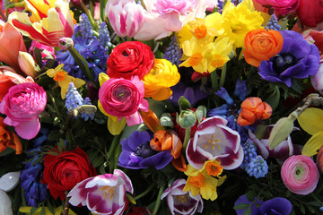Fototapeta na wymiar Bright colored spring flower bouquet