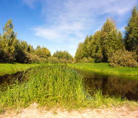 Fototapeta na wymiar grass by the river