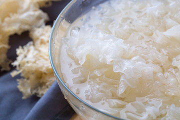 Close up of snow fungus in water 
