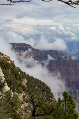 Fototapeta na wymiar Foggy view of the Grand Canyon 