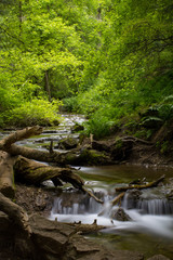 Small cascading falls in a river