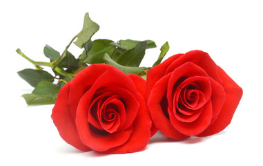 Naklejka premium A bunch of red roses