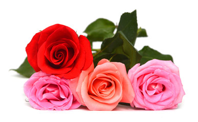 Bunch of red, yellow and pink roses isolated on white