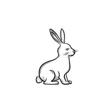 Vector hand drawn Rabbit outline doodle icon. Rabbit sketch illustration for print, web, mobile and infographics isolated on white background.