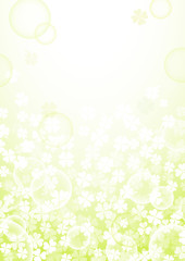 Fototapeta premium クローバーの背景