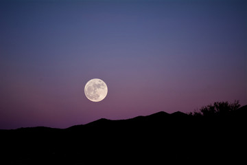 Moon above the Desert