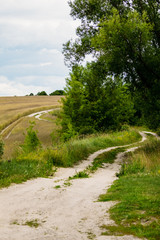 Fototapeta na wymiar Rural road near the collective farm field with wheat