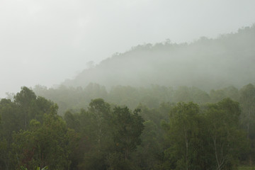 Fog on the green mountain.