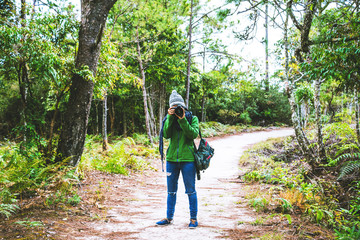 photographer Asian women Traveling photograph Nature. travel relax in the holiday walk in the forest. Thailand