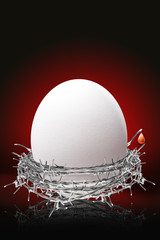 crown of thorns, egg