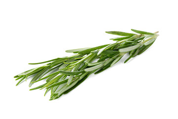 Fototapeta premium rosemary isolated on white