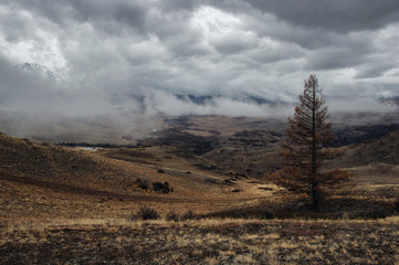 Dramatic winter dark desert steppe on a highland mountain plateau with ranges of snow peaks on a horizon mist clouds Kurai Altai Mountains Siberia Russia