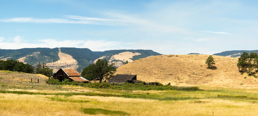 Old Barn in Meadow