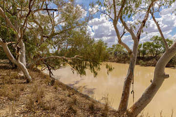 Outback River