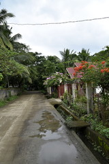 Santiago City Sightseeing, Road and city view, Rice Fields,Philippines.