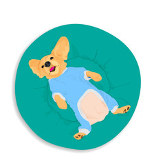 Beagle lying on gree cushion in turn over position