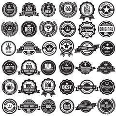 Vintage Retro Vector Logo for banner